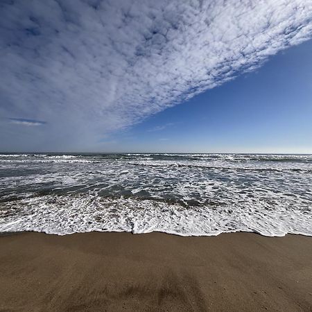 Studio Calme Et Moderne A 300M De La Plage -1- Canet-en-Roussillon Eksteriør bilde